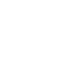 Anti-Gravity AI